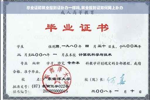 毕业证和就业报到证补办一样吗,就业报到证如何网上补办