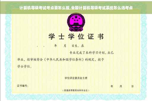 计算机等级考试考点要怎么报,全国计算机等级考试系统怎么选考点