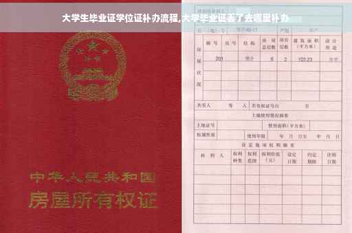 大学生毕业证学位证补办流程,大学毕业证丢了去哪里补办