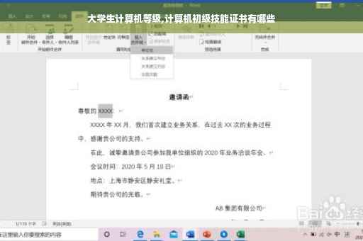 大学生计算机等级,计算机初级技能证书有哪些