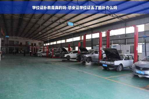 学位证补救是真的吗-毕业证学位证丢了能补办么吗