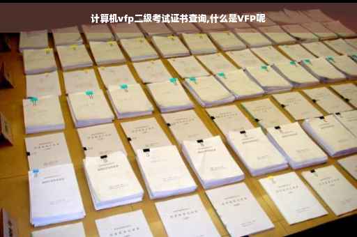 计算机vfp二级考试证书查询,什么是VFP呢