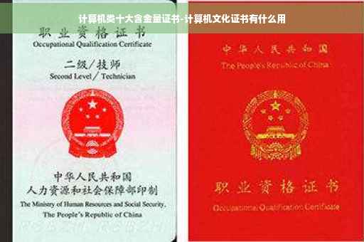 计算机类十大含金量证书-计算机文化证书有什么用