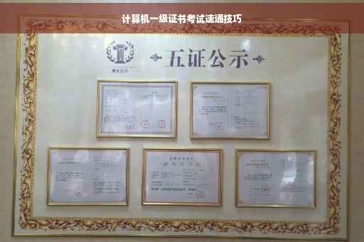 计算机一级证书考试速通技巧
