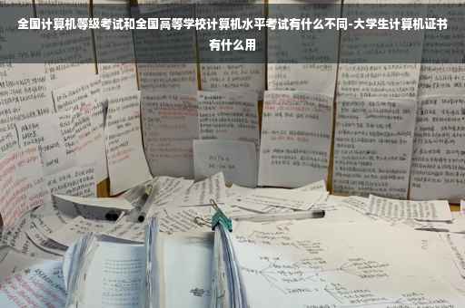 全国计算机等级考试和全国高等学校计算机水平考试有什么不同-大学生计算机证书有什么用