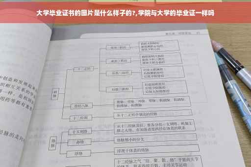 大学毕业证书的图片是什么样子的?,学院与大学的毕业证一样吗