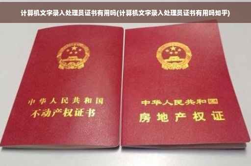 计算机文字录入处理员证书有用吗(计算机文字录入处理员证书有用吗知乎)