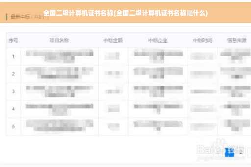 全国二级计算机证书名称(全国二级计算机证书名称是什么)