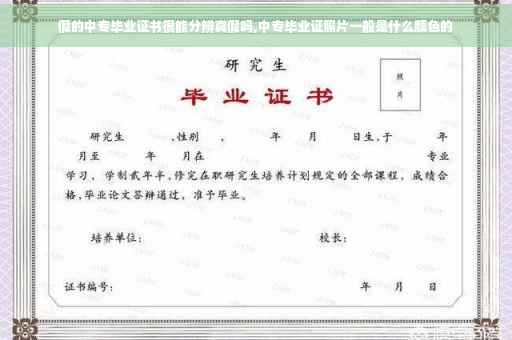 假的中专毕业证书很能分辨真假吗,中专毕业证照片一般是什么颜色的