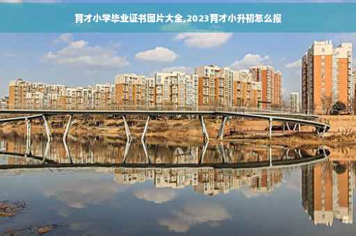 育才小学毕业证书图片大全,2023育才小升初怎么报
