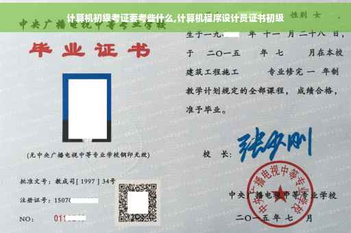 计算机初级考证要考些什么,计算机程序设计员证书初级