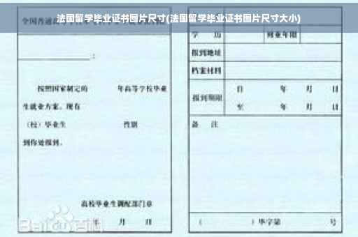 法国留学毕业证书图片尺寸(法国留学毕业证书图片尺寸大小)