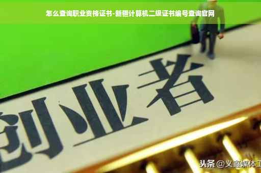 怎么查询职业资格证书-新疆计算机二级证书编号查询官网