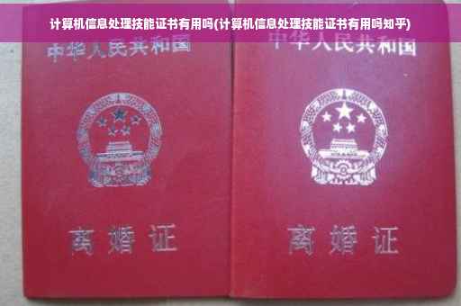 计算机信息处理技能证书有用吗(计算机信息处理技能证书有用吗知乎)