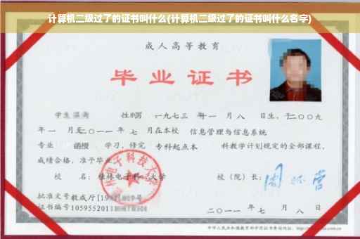 计算机二级过了的证书叫什么(计算机二级过了的证书叫什么名字)