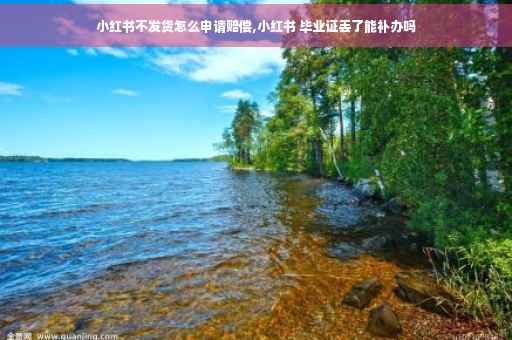 小红书不发货怎么申请赔偿,小红书 毕业证丢了能补办吗