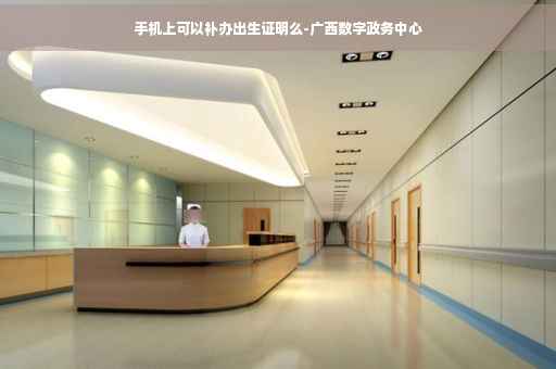 手机上可以补办出生证明么-广西数字政务中心
