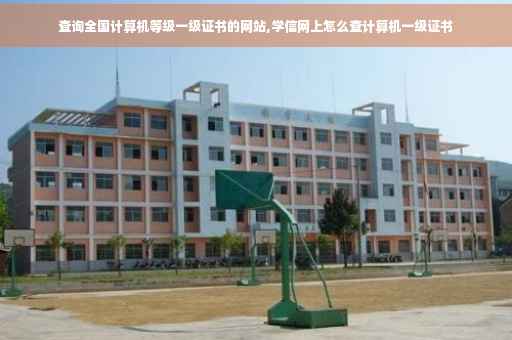 查询全国计算机等级一级证书的网站,学信网上怎么查计算机一级证书