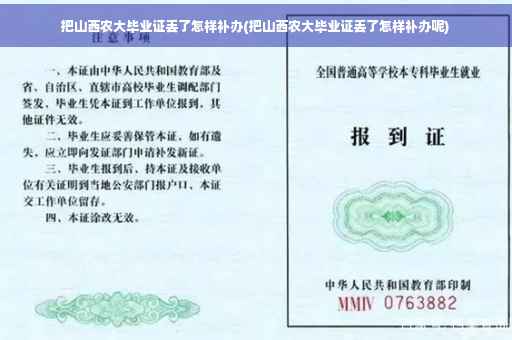 把山西农大毕业证丢了怎样补办(把山西农大毕业证丢了怎样补办呢)