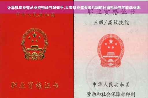 计算机专业有从业资格证书吗知乎,大专毕业需要考几级的计算机证书才能毕业呢