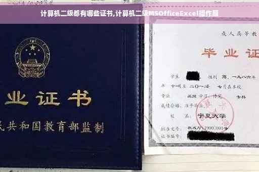 计算机二级都有哪些证书,计算机二级MSOfficeExcel操作题