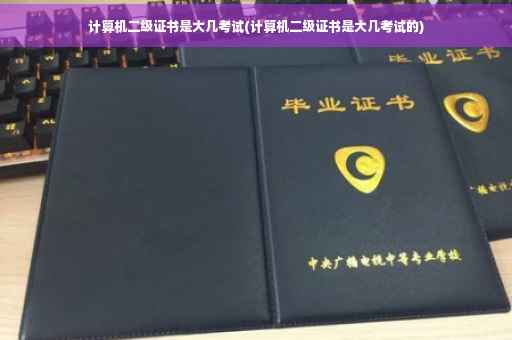 计算机二级证书是大几考试(计算机二级证书是大几考试的)