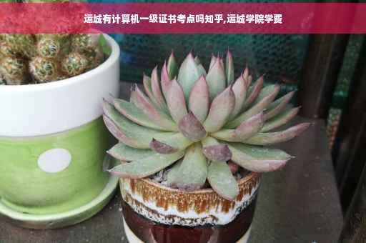 运城有计算机一级证书考点吗知乎,运城学院学费