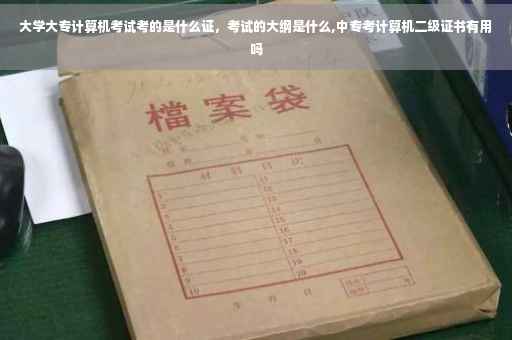 大学大专计算机考试考的是什么证，考试的大纲是什么,中专考计算机二级证书有用吗