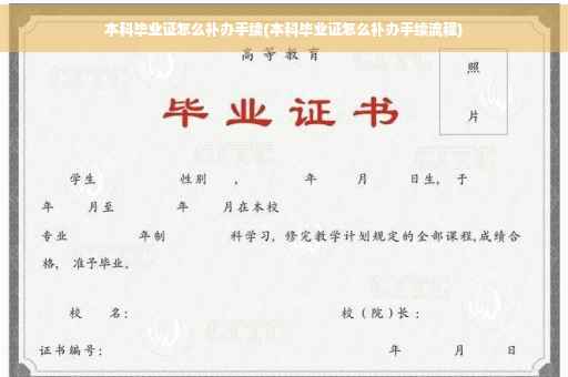 本科毕业证怎么补办手续(本科毕业证怎么补办手续流程)