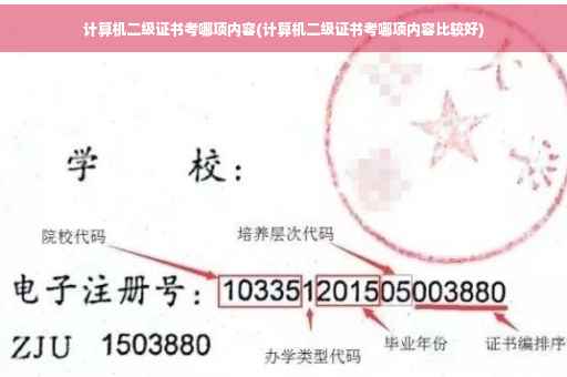 计算机二级证书考哪项内容(计算机二级证书考哪项内容比较好)