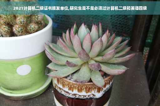 2021计算机二级证书颁发单位,研究生是不是必须过计算机二级和英语四级