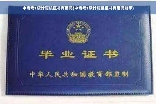 中专考1级计算机证书有用吗(中专考1级计算机证书有用吗知乎)