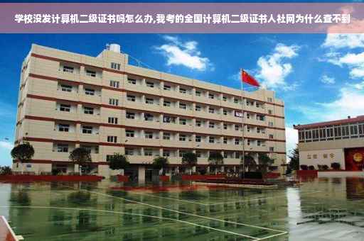 学校没发计算机二级证书吗怎么办,我考的全国计算机二级证书人社网为什么查不到