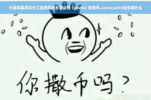 计算机程序设计工程师技术水平证书（JAVA）有用吗,autocad3d证书是什么