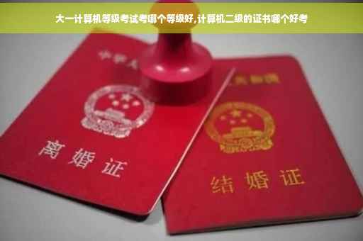 大一计算机等级考试考哪个等级好,计算机二级的证书哪个好考