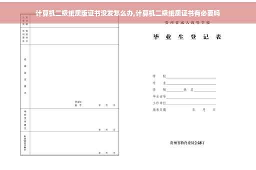 计算机二级纸质版证书没发怎么办,计算机二级纸质证书有必要吗