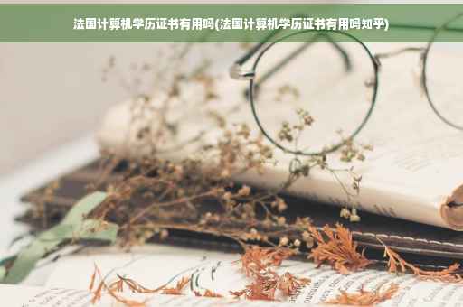 法国计算机学历证书有用吗(法国计算机学历证书有用吗知乎)