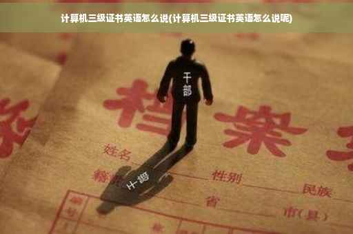 计算机三级证书英语怎么说(计算机三级证书英语怎么说呢)
