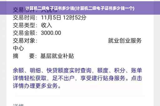 计算机二级电子证书多少钱(计算机二级电子证书多少钱一个)