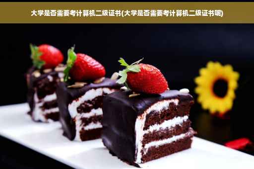 大学是否需要考计算机二级证书(大学是否需要考计算机二级证书呢)