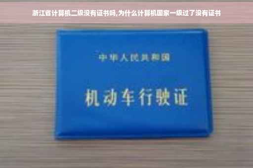 浙江省计算机二级没有证书吗,为什么计算机国家一级过了没有证书