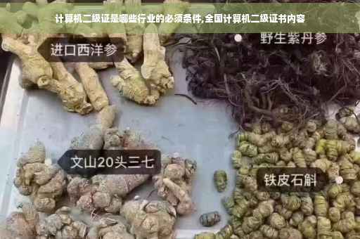 计算机二级证是哪些行业的必须条件,全国计算机二级证书内容