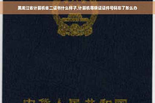 黑龙江省计算机省二证书什么样子,计算机等级证证件号码忘了怎么办
