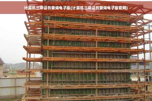 计算机三级证书查询电子版(计算机三级证书查询电子版官网)