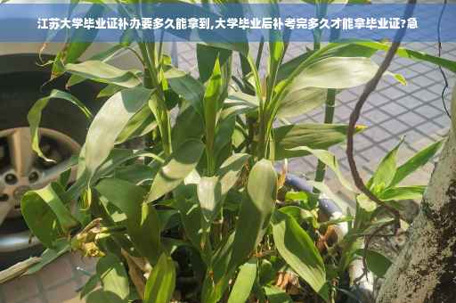 江苏大学毕业证补办要多久能拿到,大学毕业后补考完多久才能拿毕业证?急