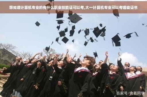 想知道计算机专业的有什么职业技能证可以考,大一计算机专业可以考哪些证书