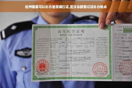 杭州哪里可以补办港澳通行证,武汉车辆登记证补办地点