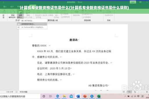 计算机专业新资格证书是什么(计算机专业新资格证书是什么级别)
