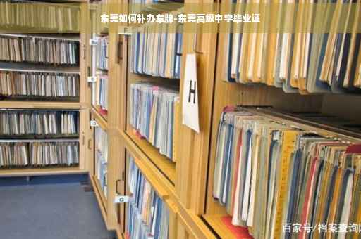 东莞如何补办车牌-东莞高级中学毕业证