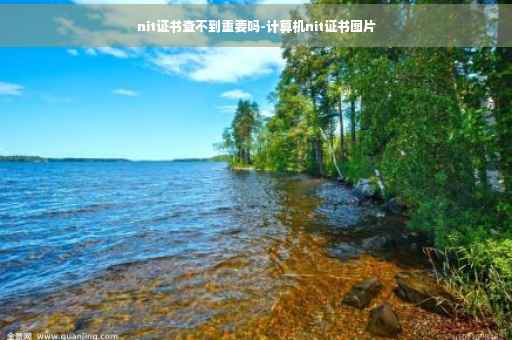 nit证书查不到重要吗-计算机nit证书图片 nit证书查不到重要吗-计算机nit证书图片